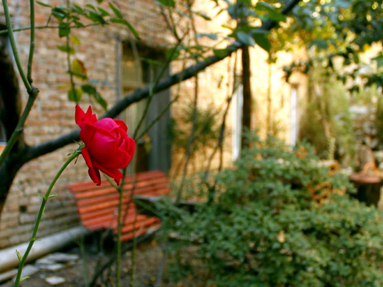 Colors Hostel Tbilisi Exteriér fotografie